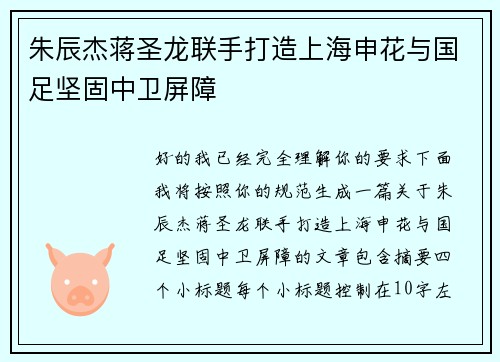 朱辰杰蒋圣龙联手打造上海申花与国足坚固中卫屏障